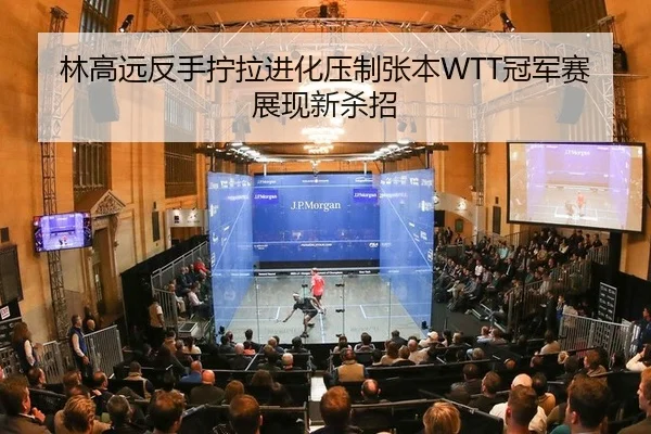 林高远反手拧拉进化压制张本WTT冠军赛展现新杀招